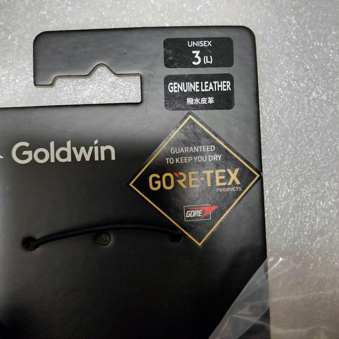 Goldwin GORE-TEX グローブ Lサイズ タグあり　新品