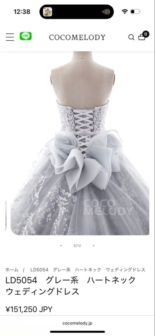 ウェディングドレスセット　ホワイト　カラー（ブラウン）