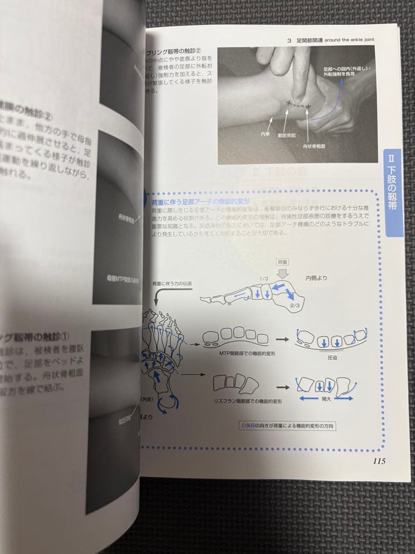 整形外科運動療法ナビゲーション＆機能解剖学的触診技術セット　理学療法士　作業療法