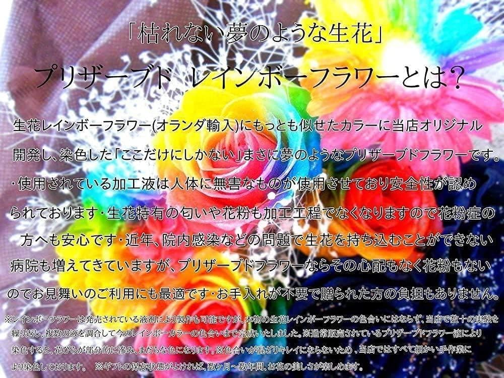 【楽天ランキング1位】プリザーブドフラワーレインボー ガラスのリンゴドーム