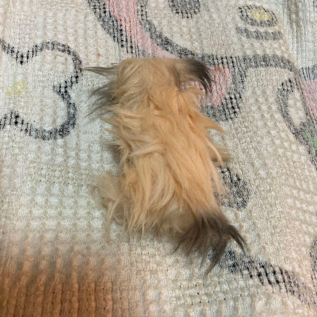 セキグチ　L Dream コレクション　DOGシリーズ　4コセット　中古品