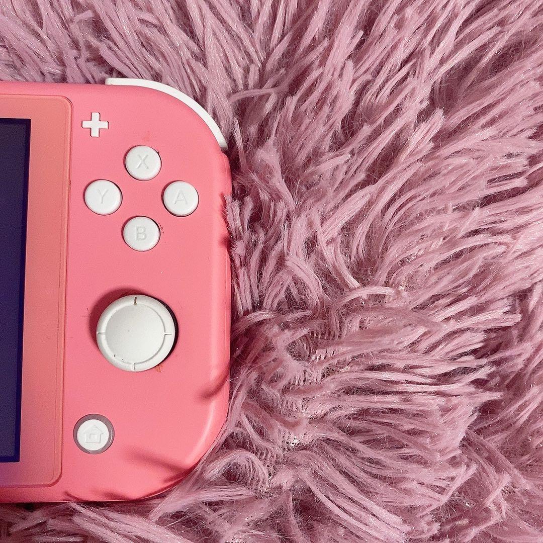 【陸太郎】Nintendo Switch Lite 【おまけ付き】