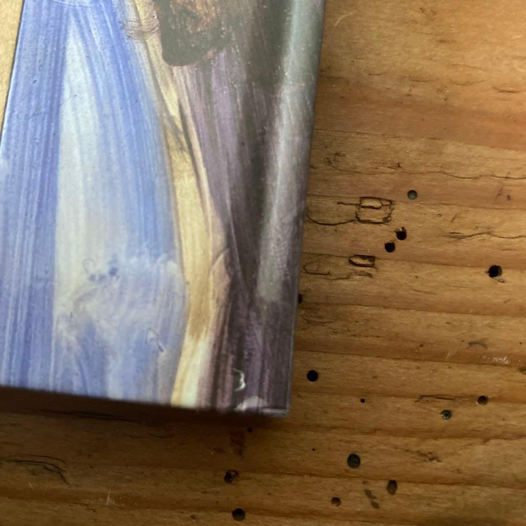 初版ELIZABETH PEYTON/LIVE FOREVER