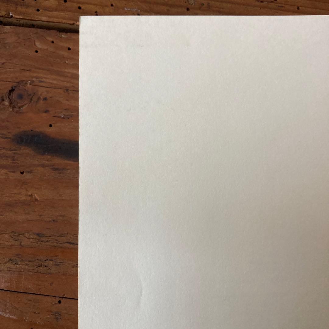 初版ELIZABETH PEYTON/LIVE FOREVER