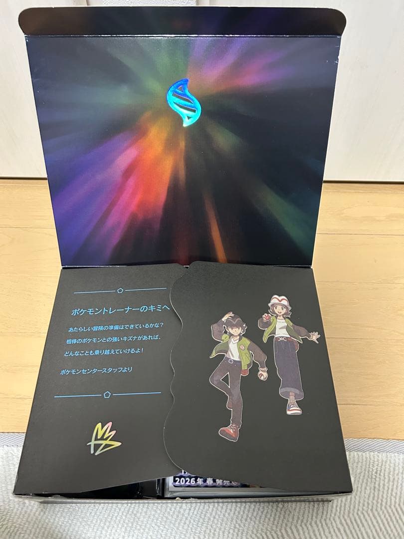 ポケモンZA ソフト 予約購入特典 オリジナルアートブック キーホルダー