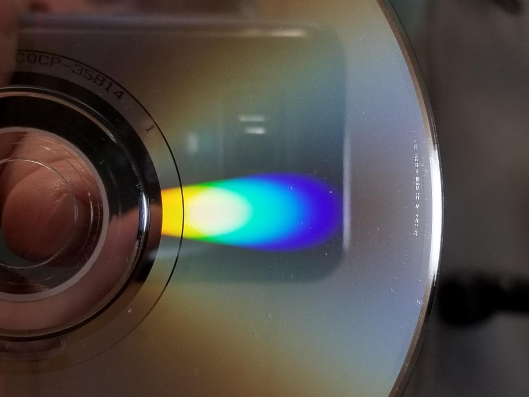 カーネーション/Parakeet&Ghost(Deluxe Edition)