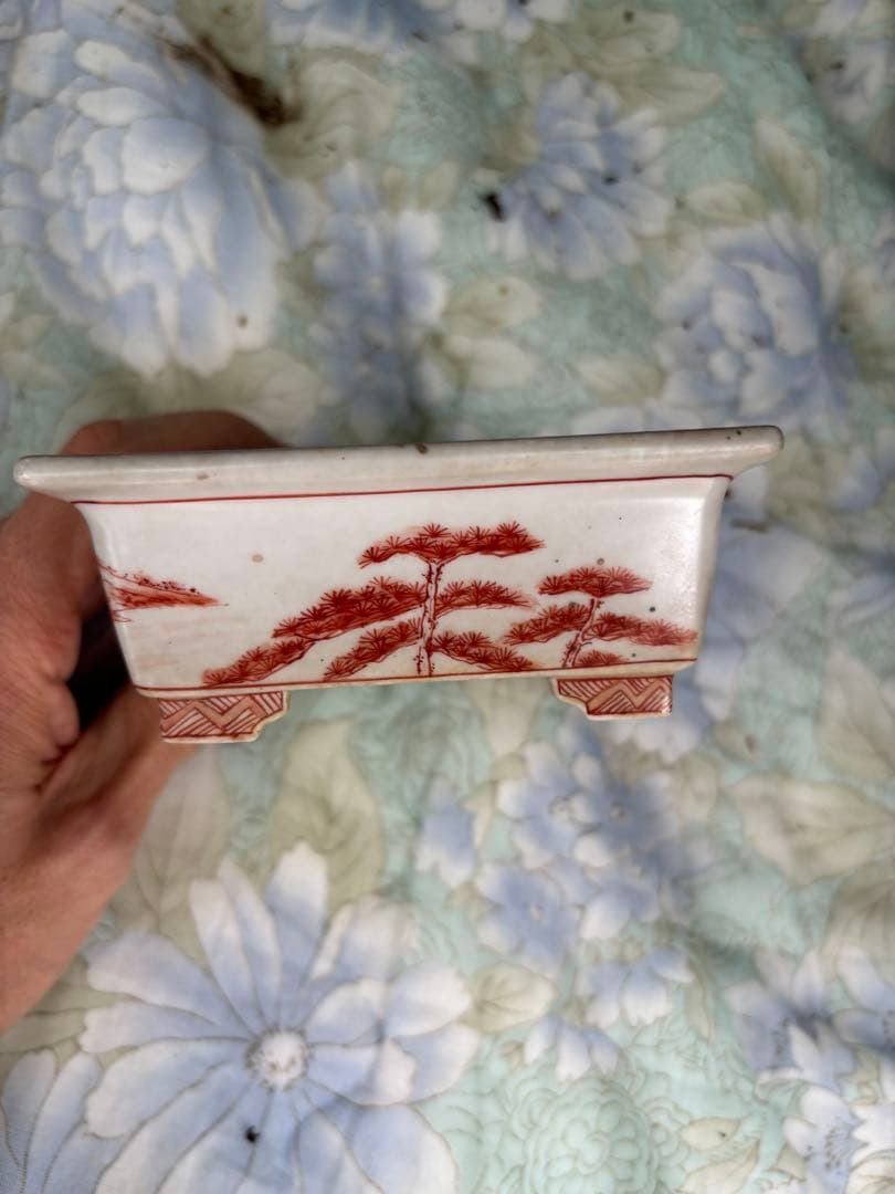 盆栽鉢　有度山