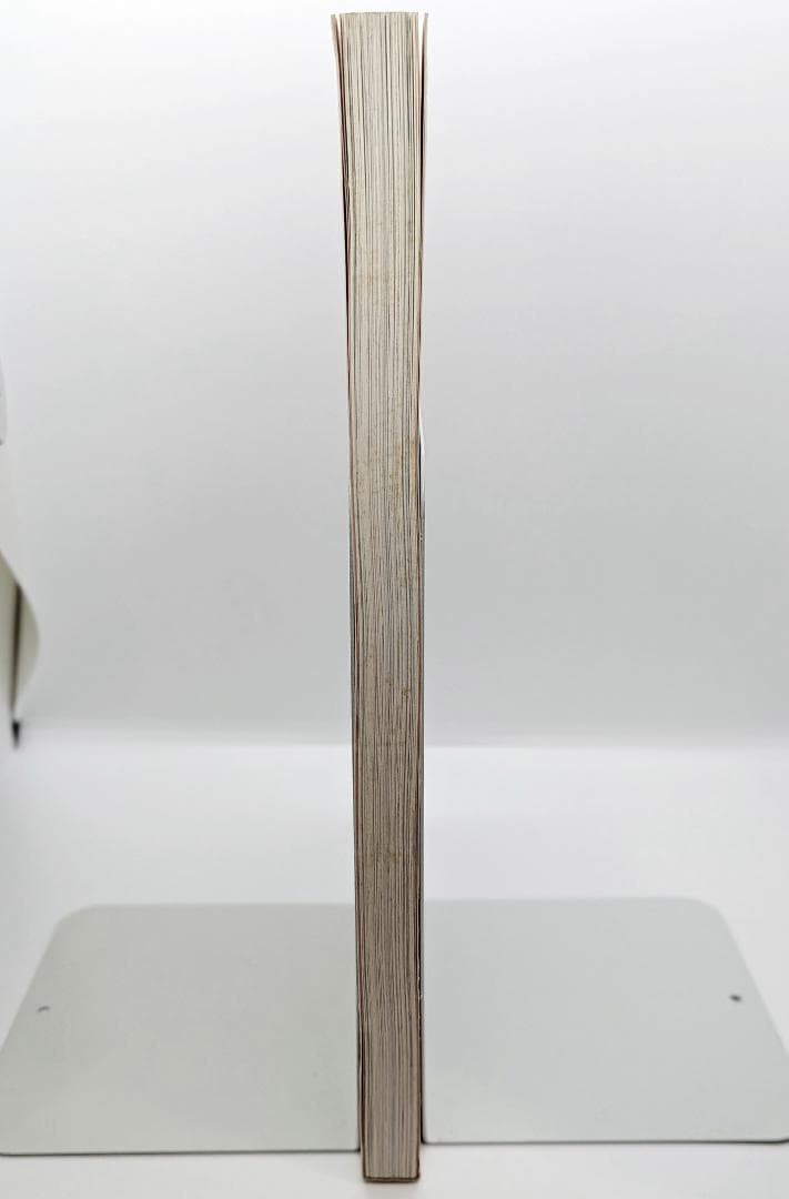 【初版・絶版】 ハルとミナ Haru and Mina 濱田英明 写真集