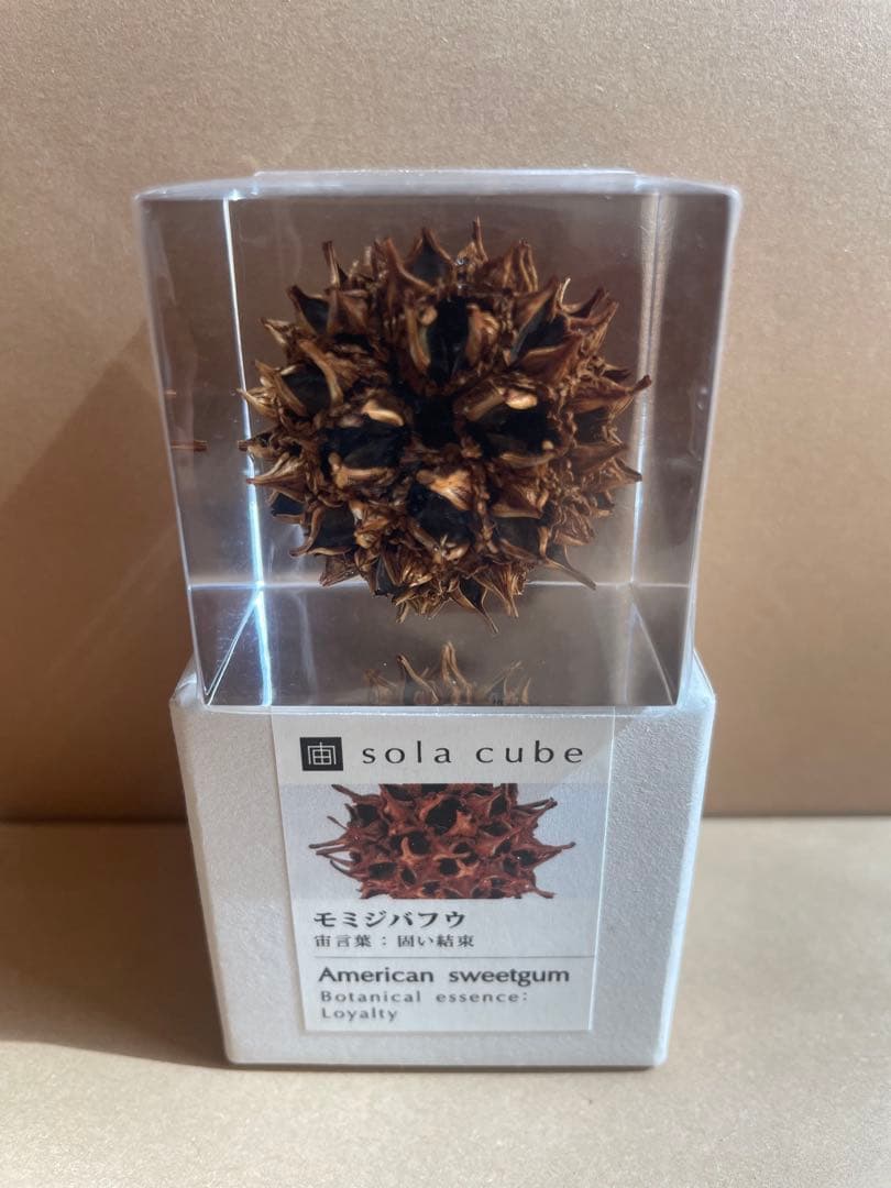Sola Cube 置物3点セット