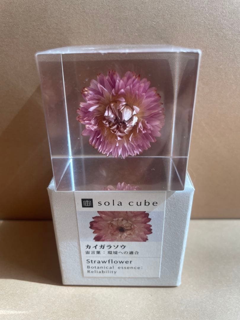Sola Cube 置物3点セット