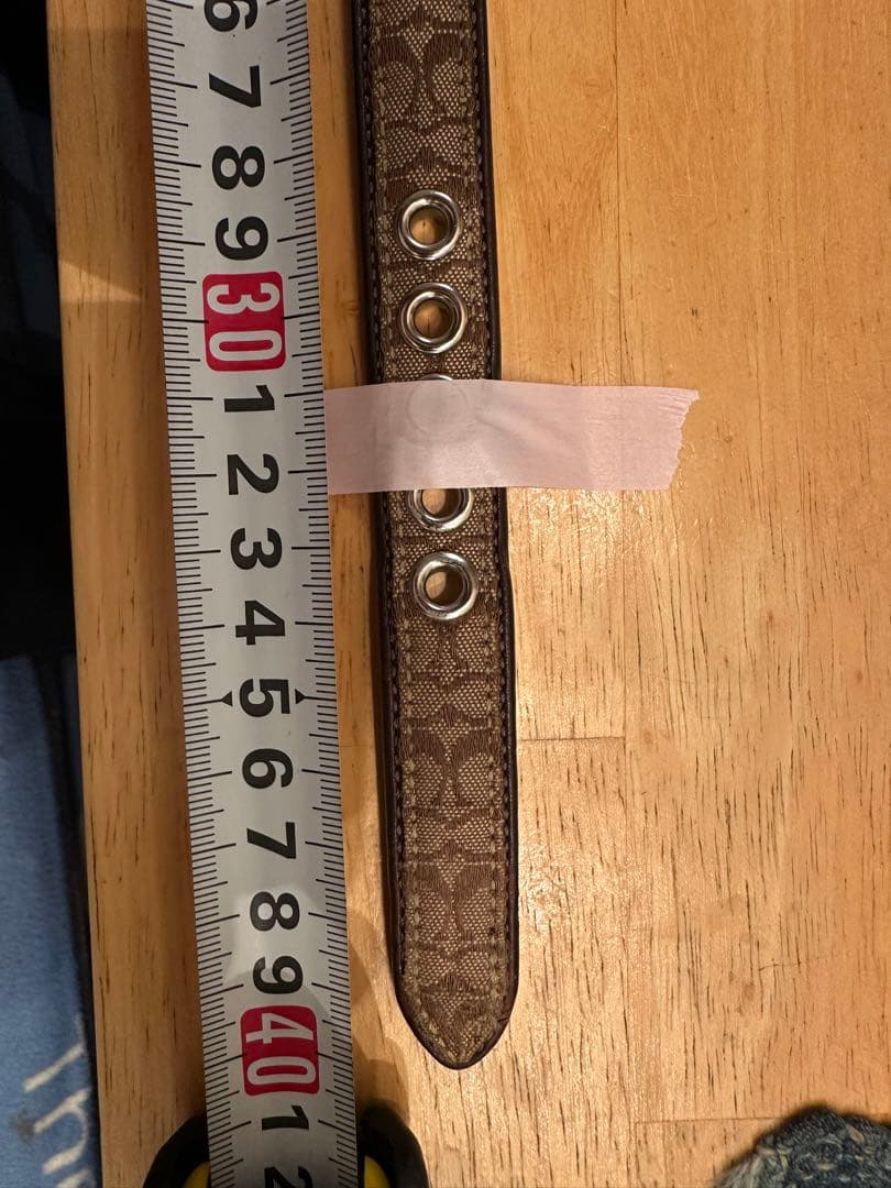 coach 犬首輪、リードセット