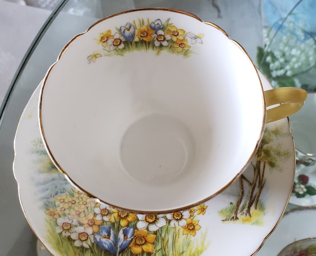 皆様画像確認用 ③ シェリー ダフォディルタイム  水仙 風景画 カップ