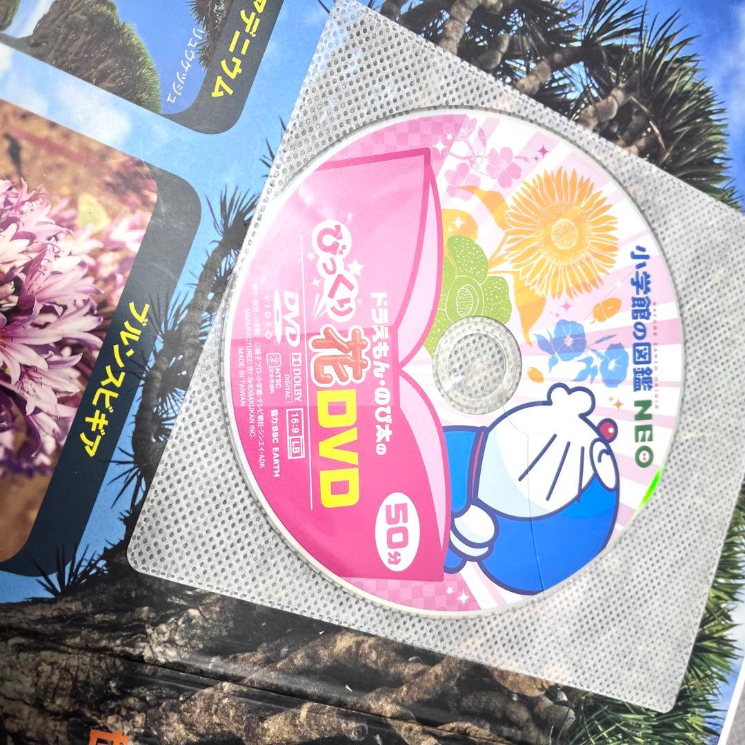12冊セット‼️ 図鑑NEO move 小学館　講談社　DVD付き