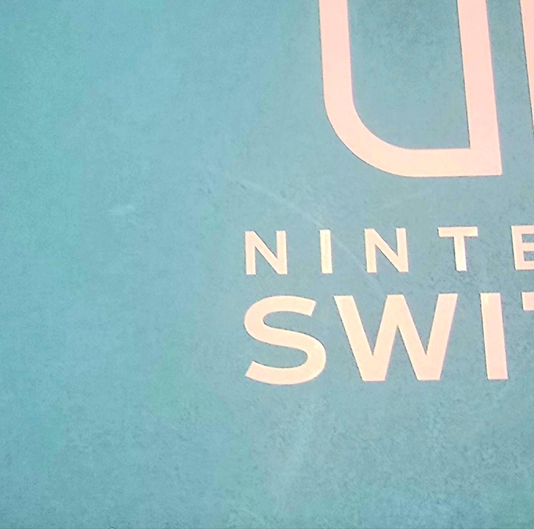 Nintendo Switch Lite Micro SD256GB付き