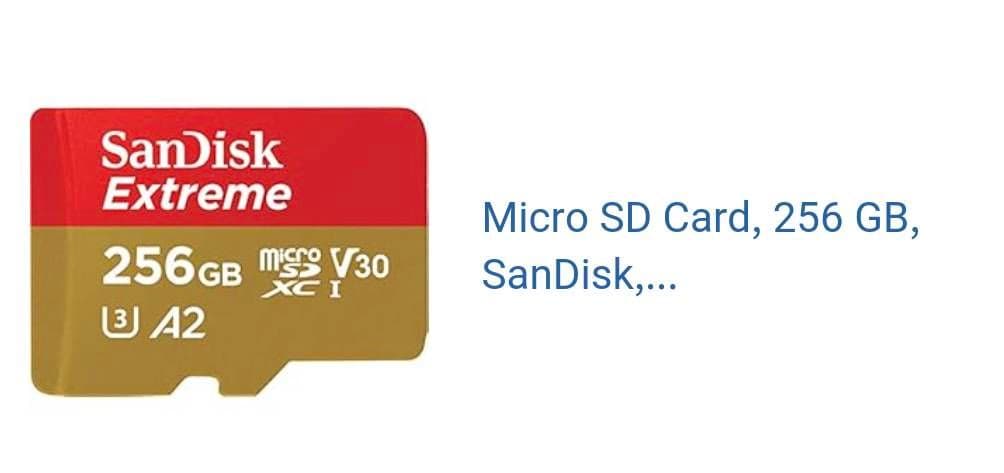 Nintendo Switch Lite Micro SD256GB付き