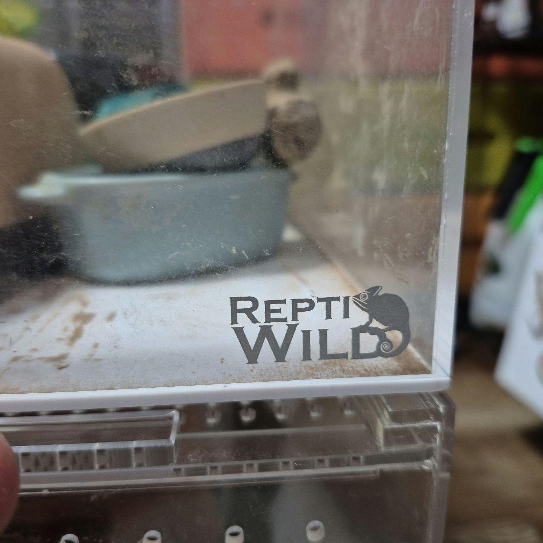 ポッチャマ中古レプタイルボックス 6個セット