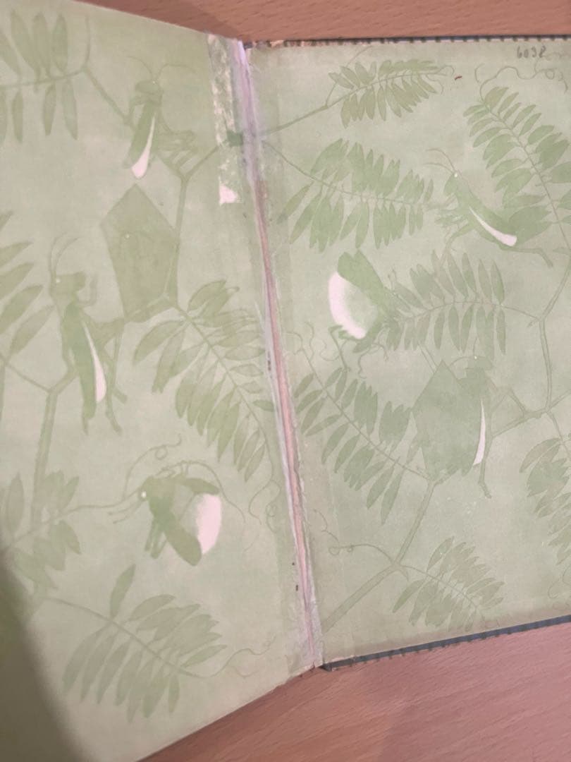 No.303 超希少 レア 古書 アンティーク 洋書 児童書 ドイツ 絵本 妖精