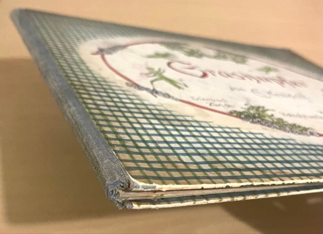 No.303 超希少 レア 古書 アンティーク 洋書 児童書 ドイツ 絵本 妖精