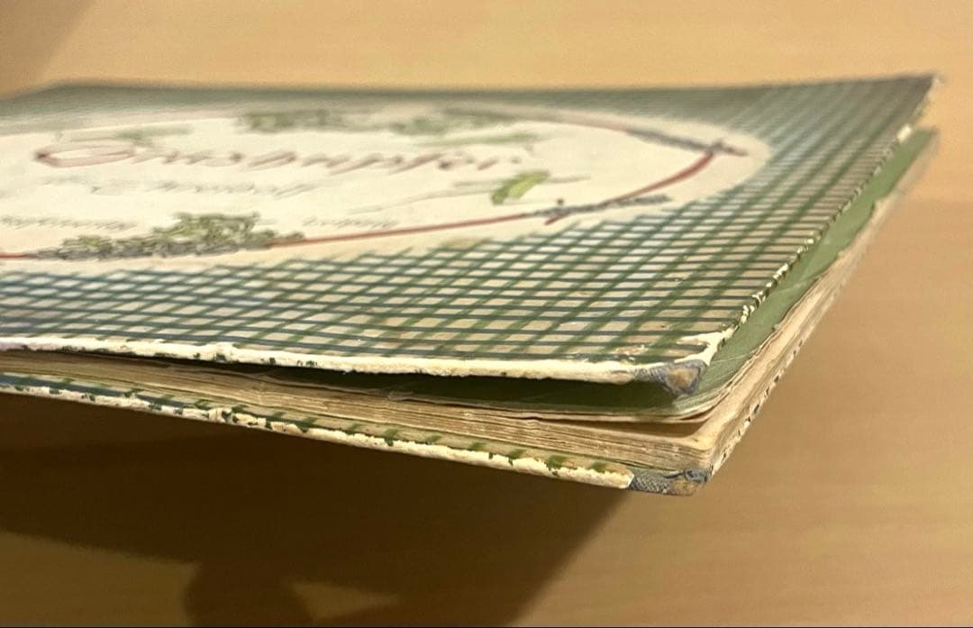 No.303 超希少 レア 古書 アンティーク 洋書 児童書 ドイツ 絵本 妖精