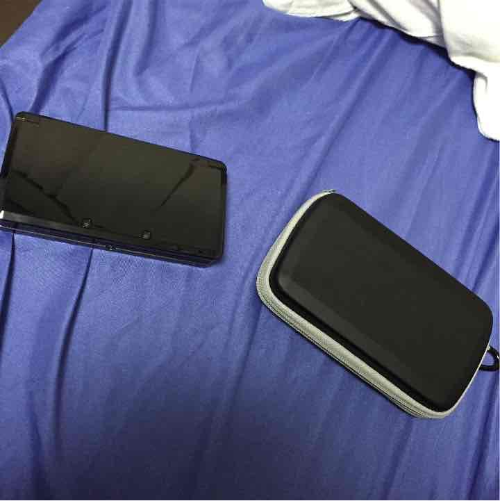 ニンテンドー3DS  ケース付き