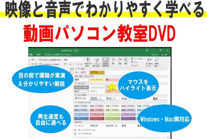 動画パソコン教室『楽ぱそDVD』エクセル　ワード　プログラミング