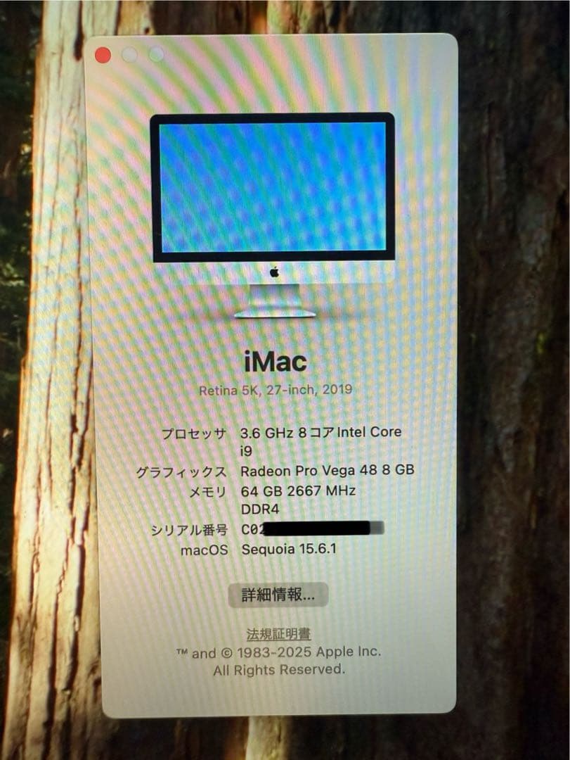 Macデスクトップ iMac 27-inch 2019 Corei9 64GB SSD1TB