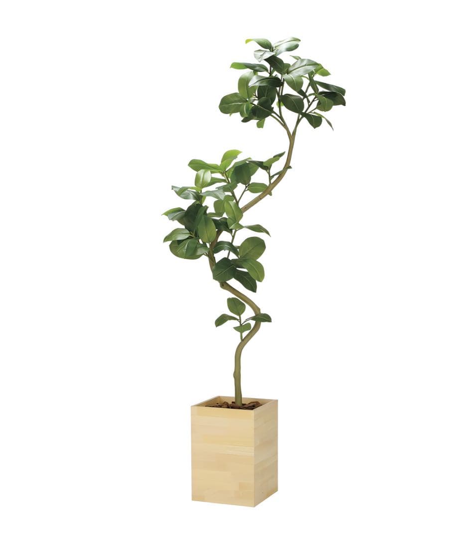 光触媒　人工観葉植物　フェイクグリーン　ウッドボックスアルテシマ2.1(組立式)