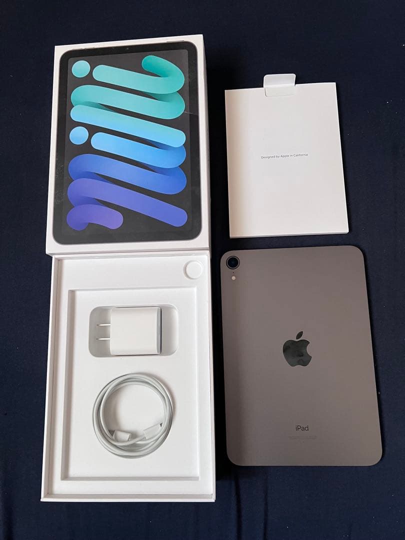 Apple iPad mini スペースグレイ 本体