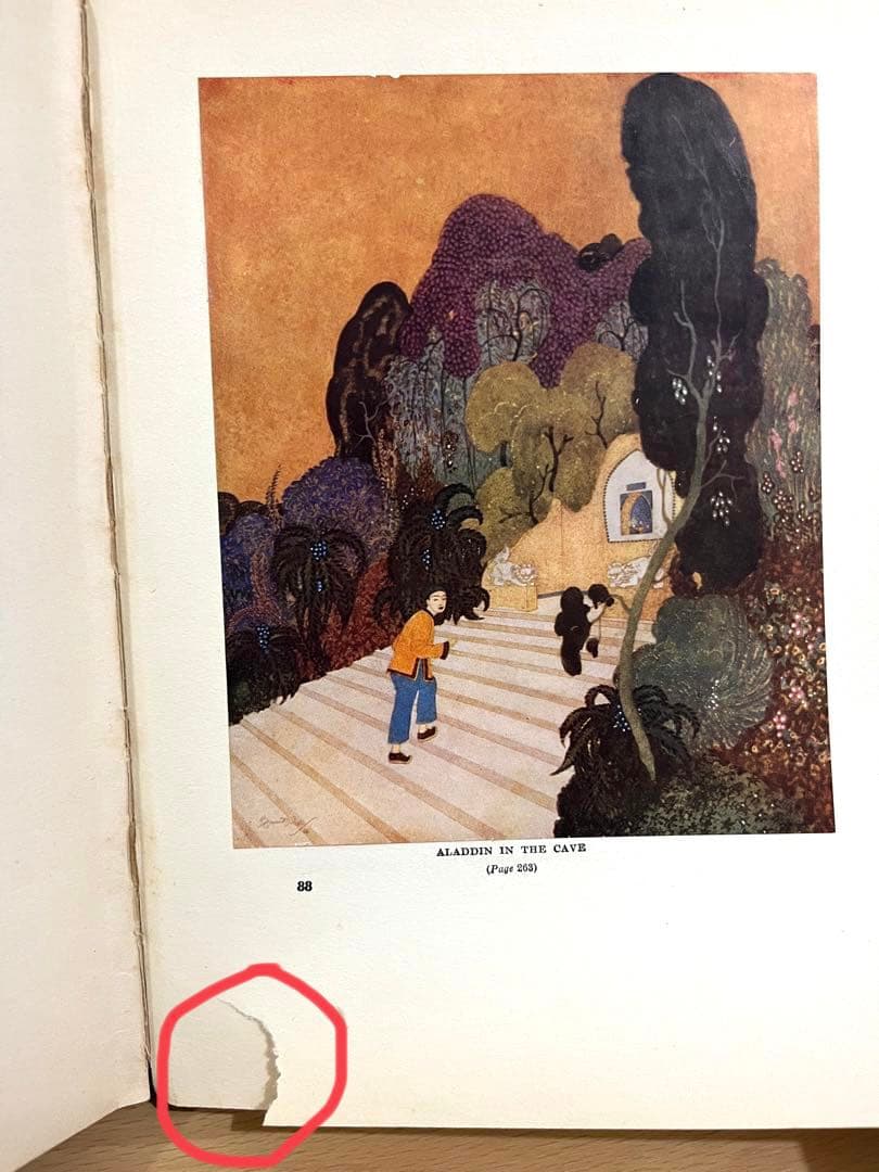 ★SALE★No.106 希少 古書 洋書 アンティーク エドマンド デュラック