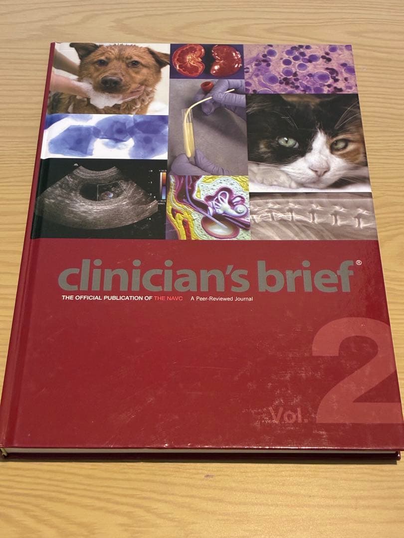 獣医 小動物 clinician's brief Vol. 1-3 セット