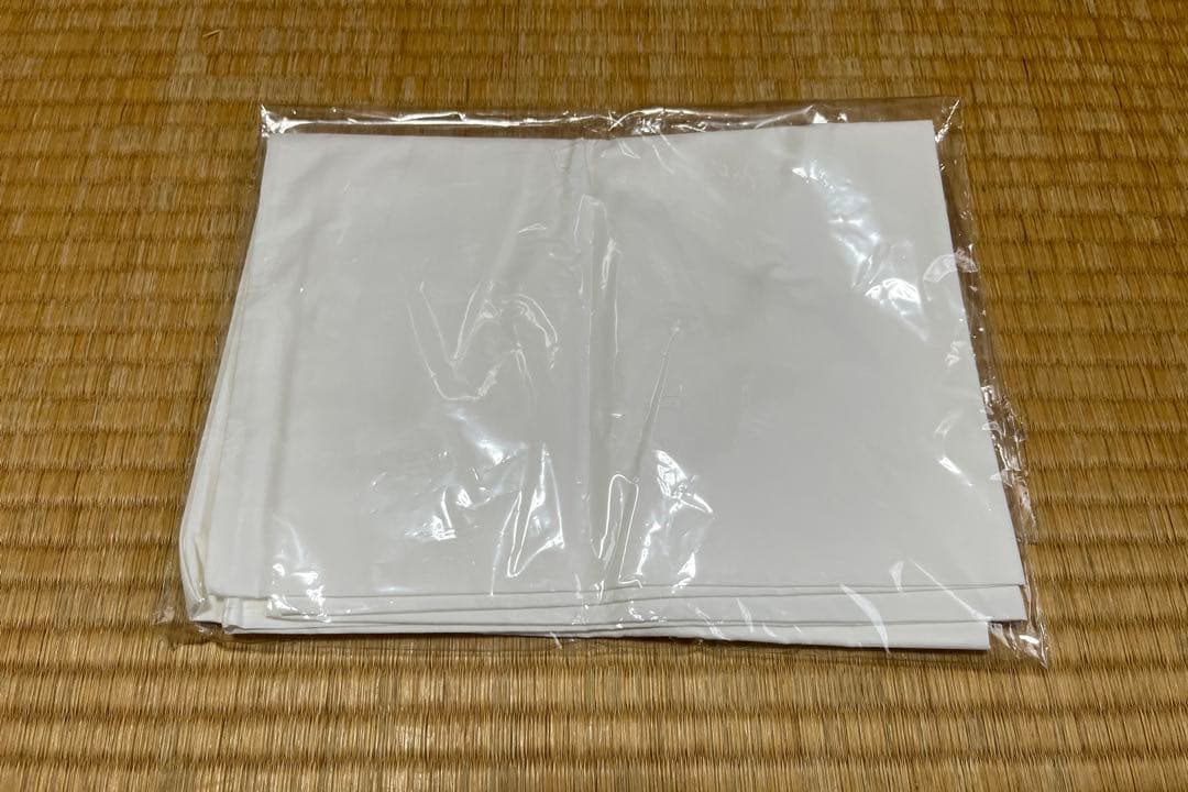 メディカル枕　fabeファべ　通販生活　専用カバー1枚付き