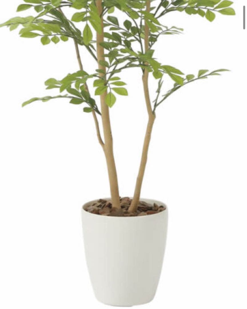 光触媒　人工観葉植物　ウォールグリーン　フェイクグリーン　ライトトネリコ1.0