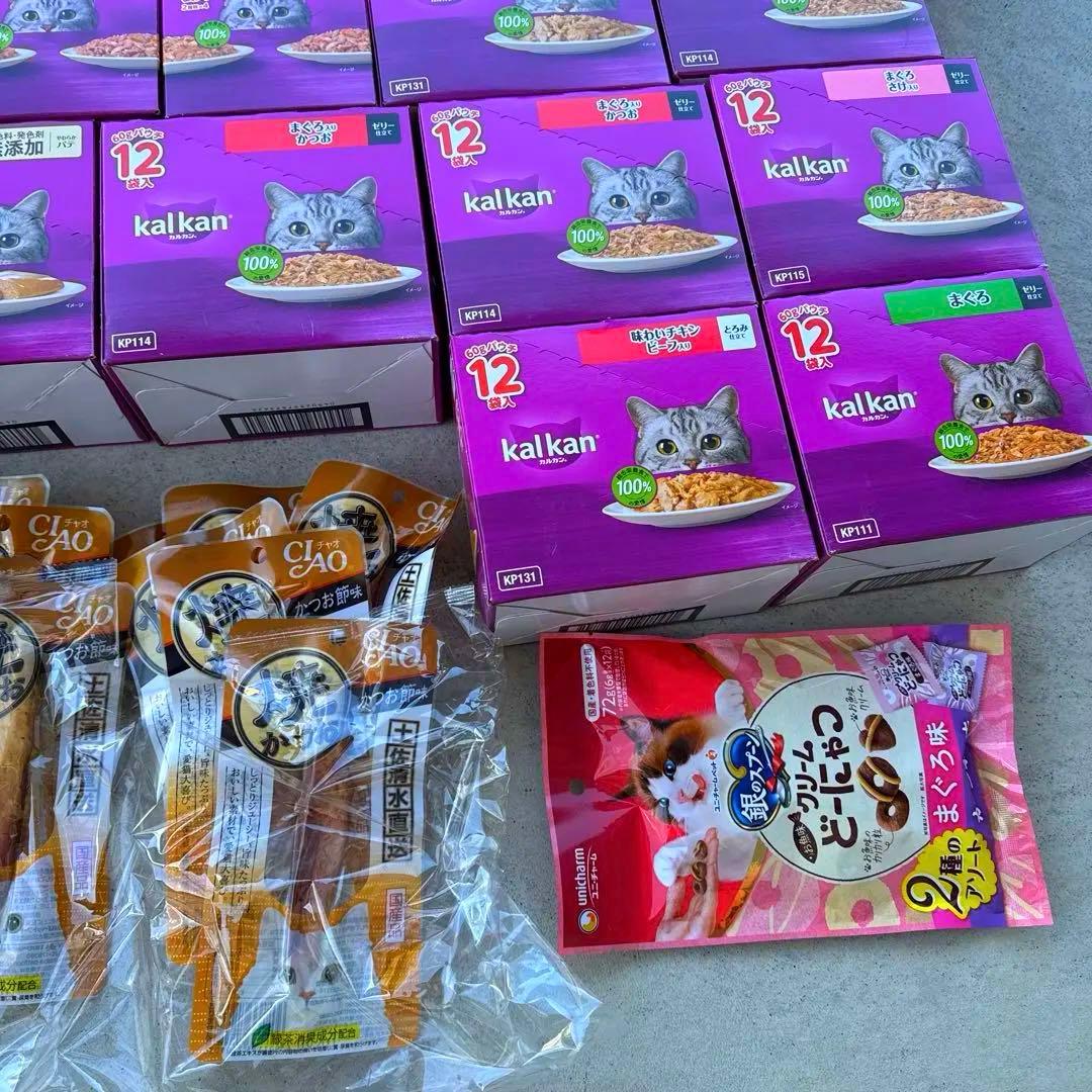 猫B 最終値下げ！