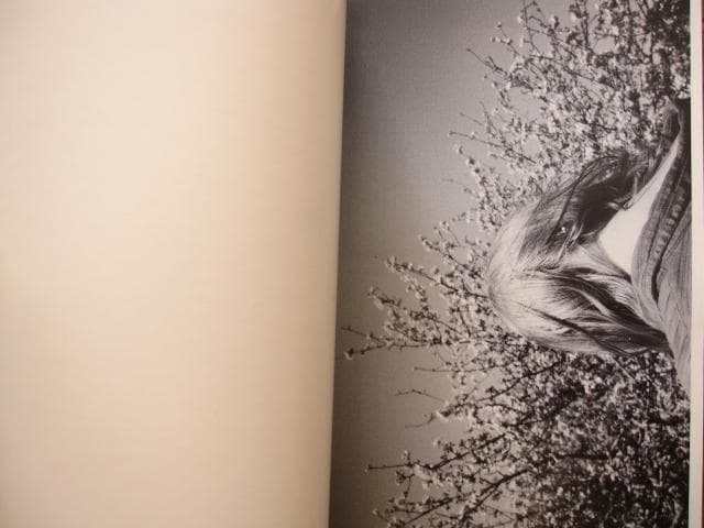 アート・デザイン・音楽 Lina Scheynius 08