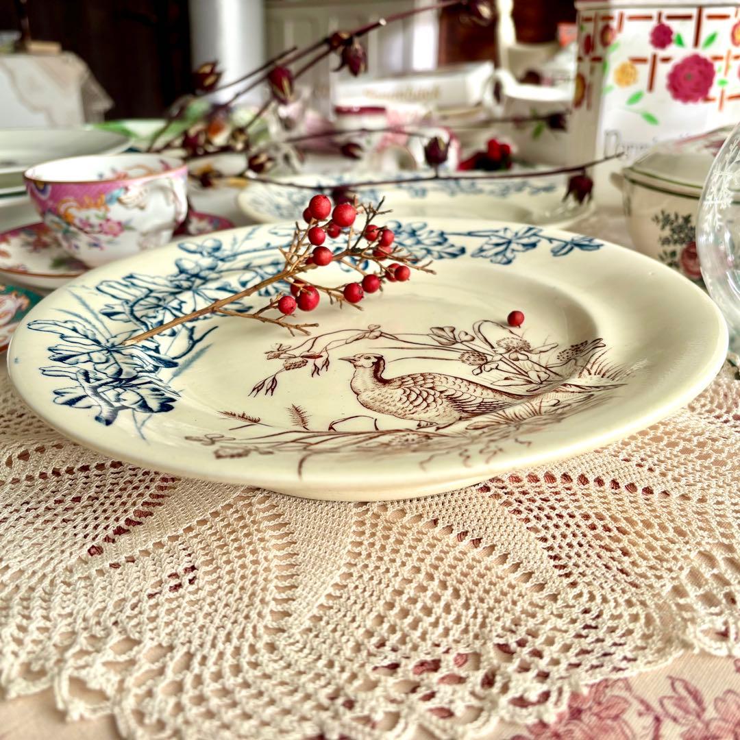 フランスアンティーク˚✧₊ クレールフォンテーヌꕤ︎︎ 鳥さんコンポティエꕤ︎︎ レア✧