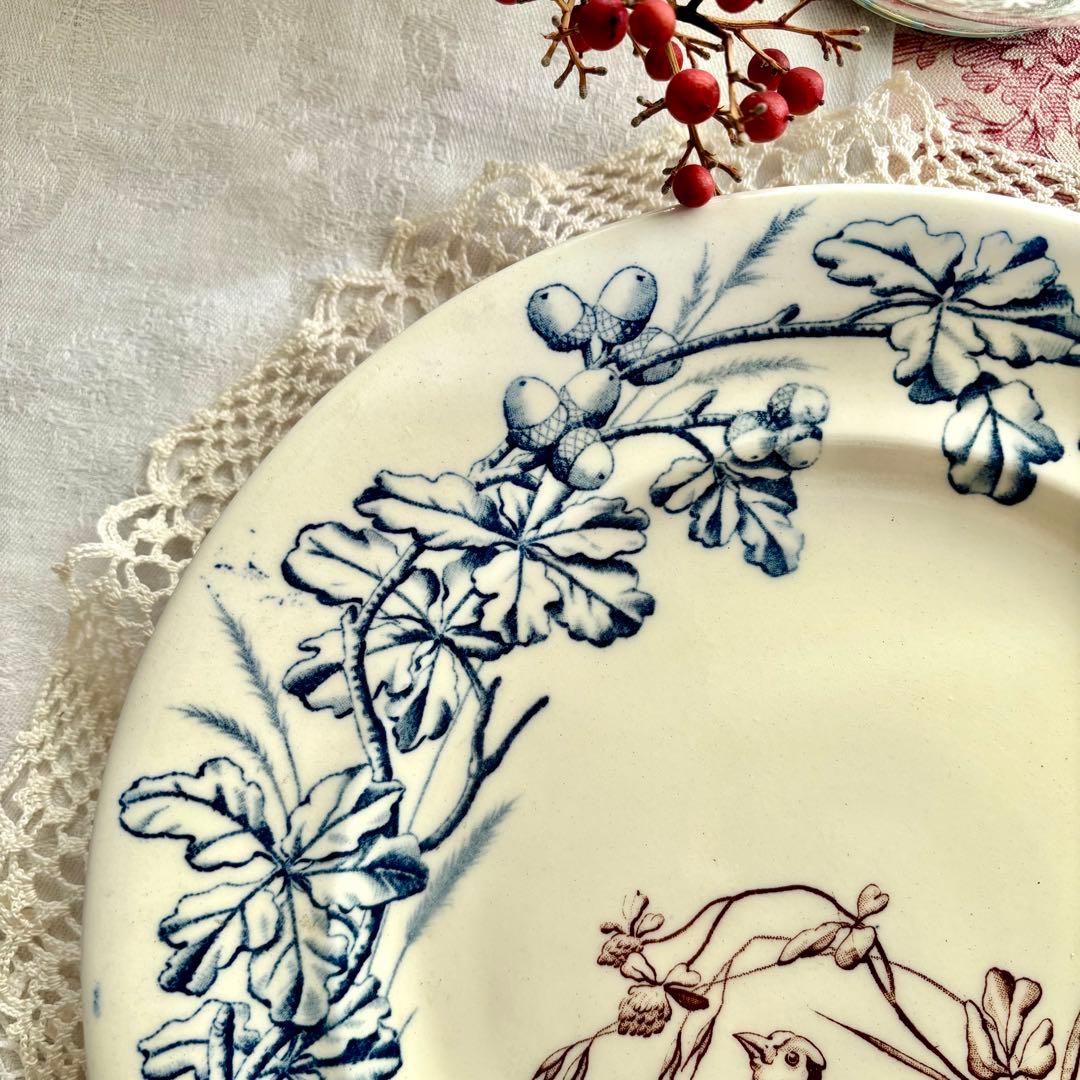 フランスアンティーク˚✧₊ クレールフォンテーヌꕤ︎︎ 鳥さんコンポティエꕤ︎︎ レア✧