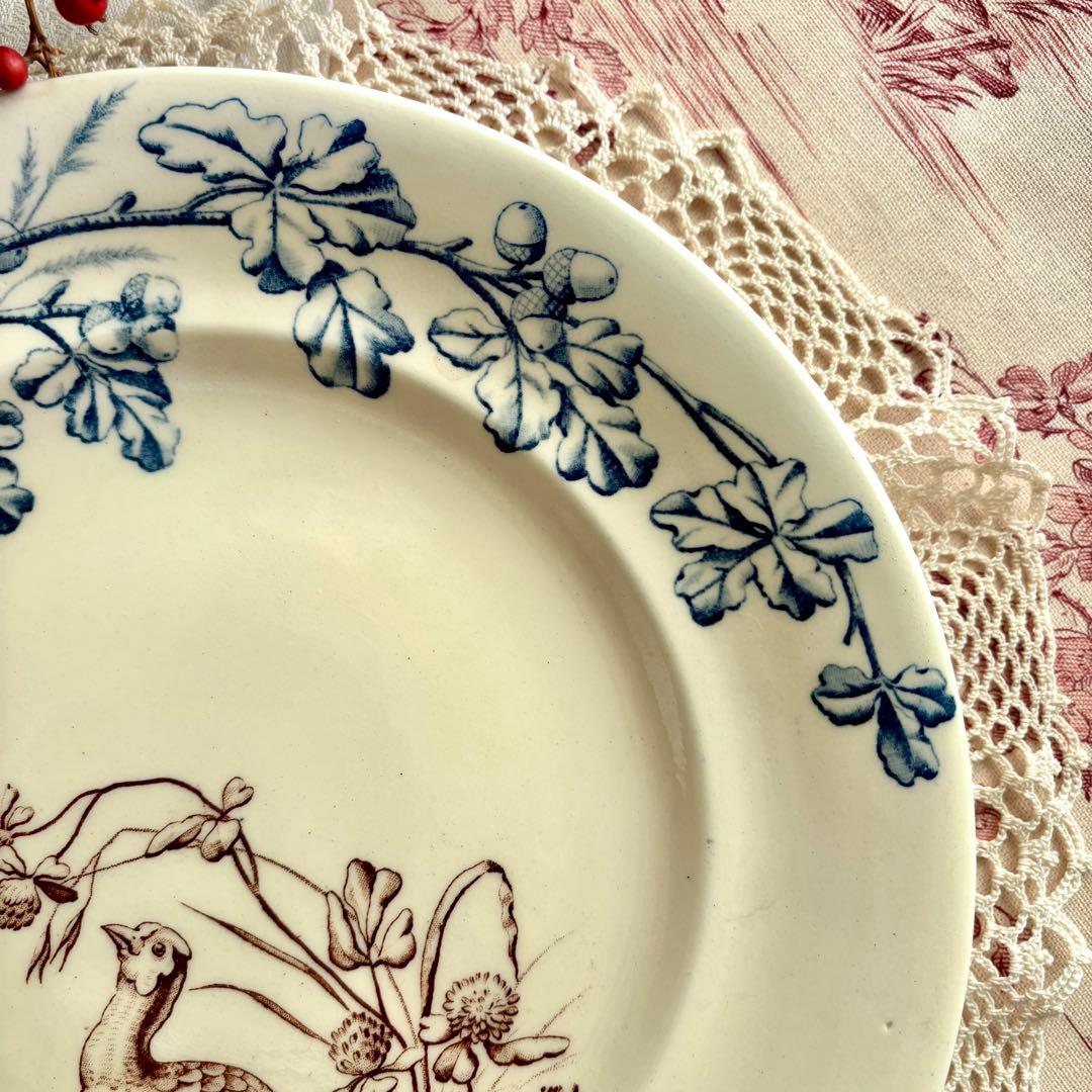 フランスアンティーク˚✧₊ クレールフォンテーヌꕤ︎︎ 鳥さんコンポティエꕤ︎︎ レア✧