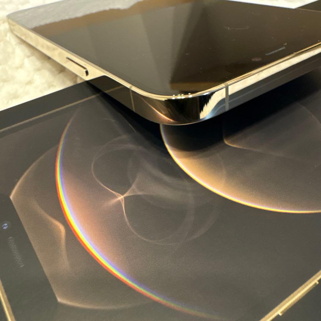 【12/22 12時迄限定価格】iPhone 12 Pro Max 256GB