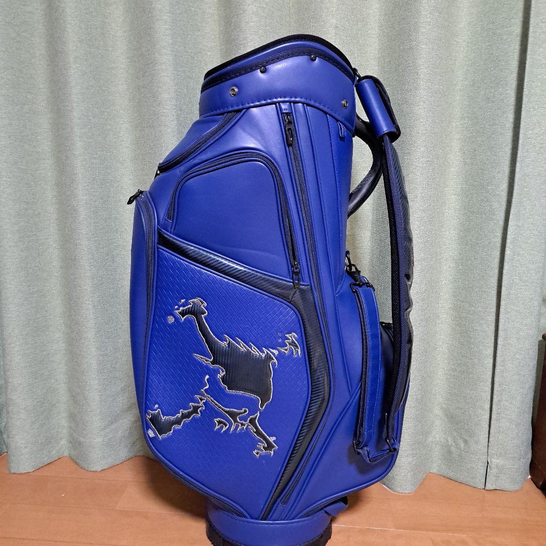 Oakley キャディバッグ 。フード付き。9.5インチ。まぁまぁ美品。