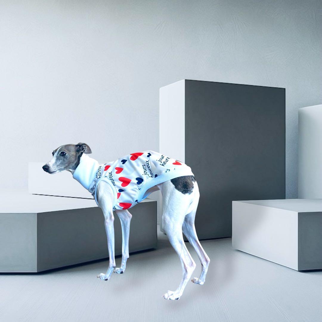 ⑰jours heureux original heart