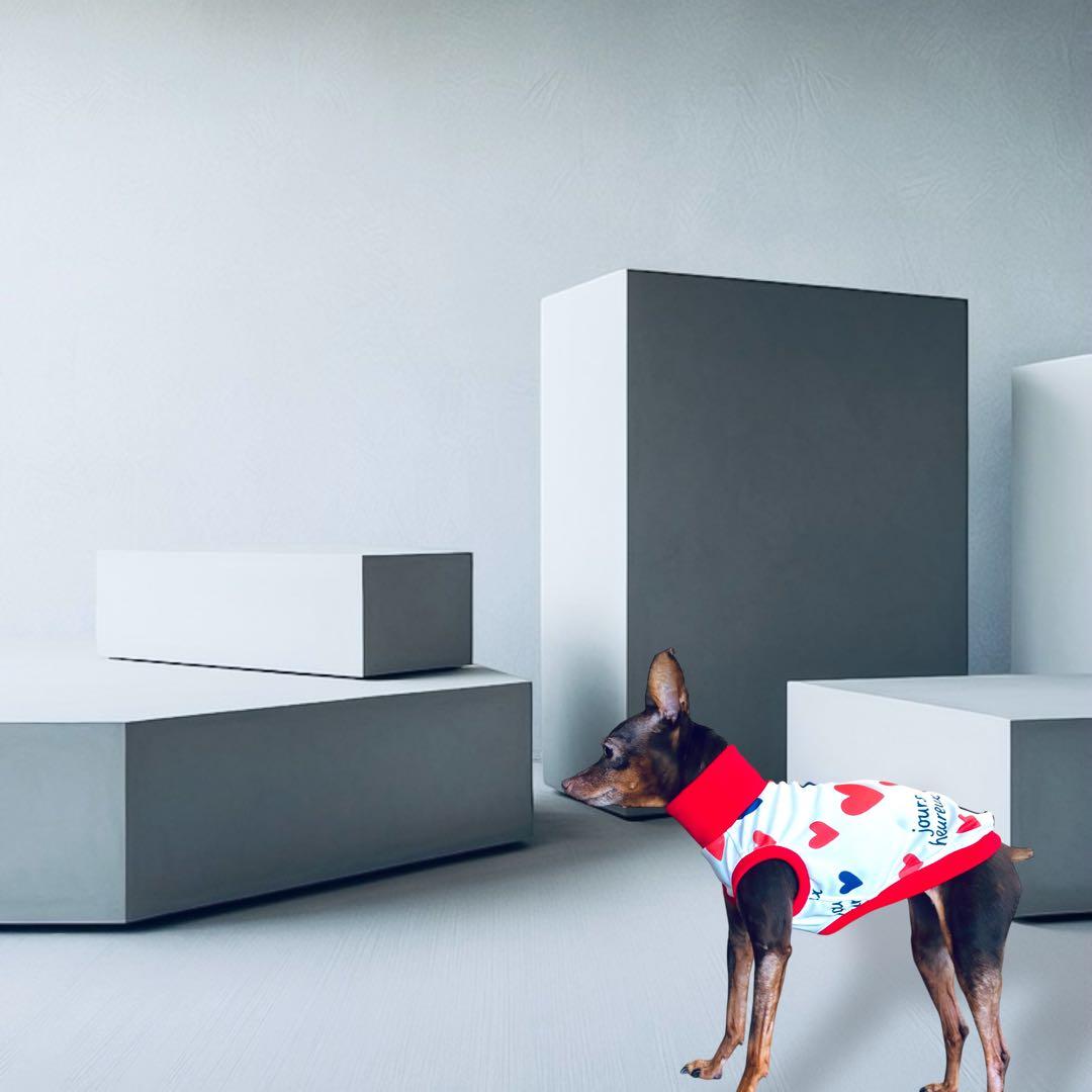 ⑰jours heureux original heart