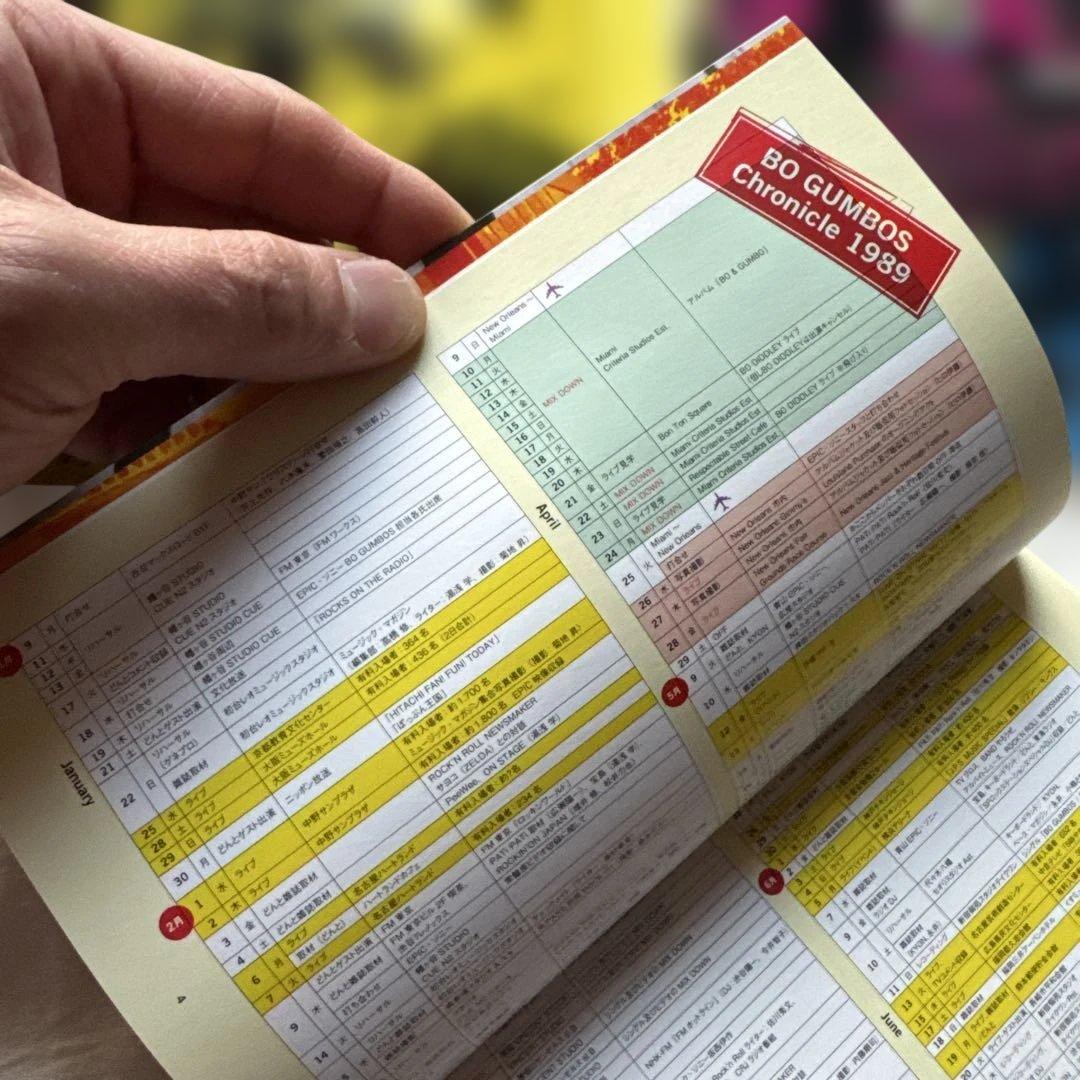 ボ・ガンボス 1989 CD BO&GUMBO どんと　BO GUMBOS