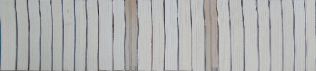 転生したらスライムだった件　転スラ　小説　合計25冊セット　全巻セット