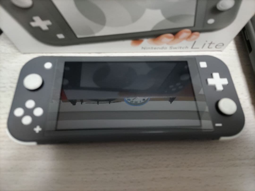 Switch Lite 美品　(ケース付き)