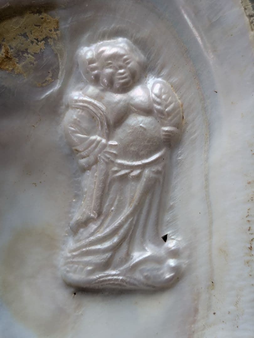 仏像真珠／淡水パール母貝 no.103