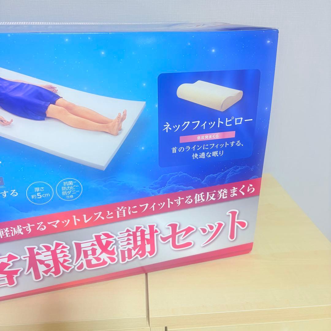 新品 トゥルースリーパー プレミアケア シングル ネックフィットピロー セット