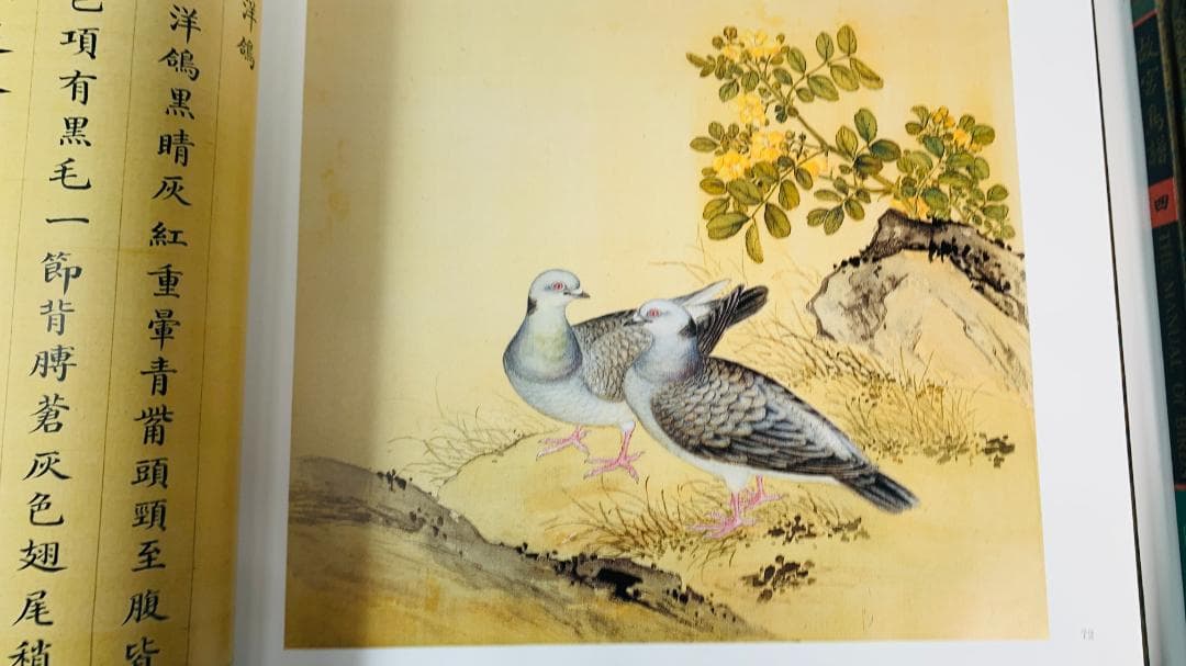 1997年初版「The Manual of Birds（故宮鳥譜）」