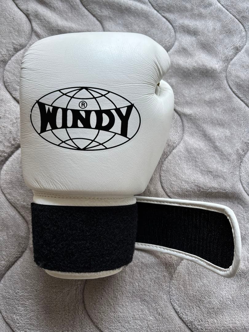 WINDY ボクシング　キックボクシング　グローブ　10オンス