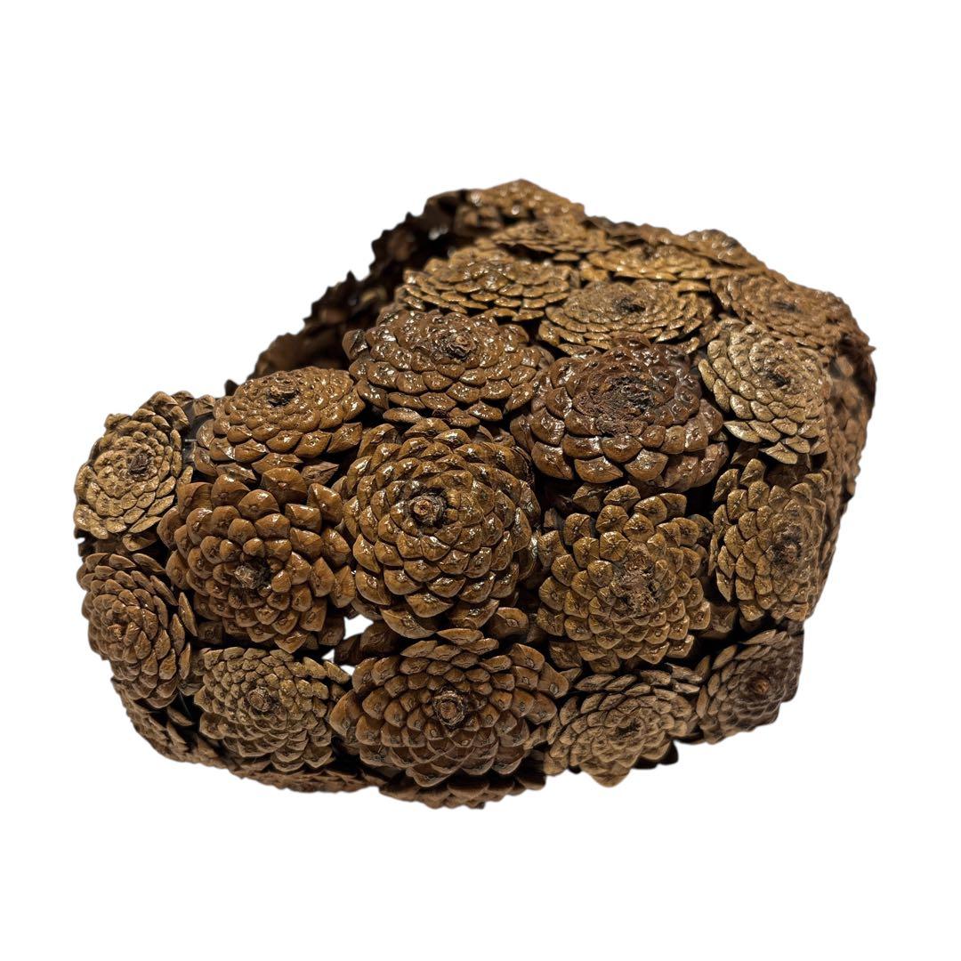 松笠細工 シダーローズ 花籠 取っ手付き 木の実クラフト バスケット オブジェ