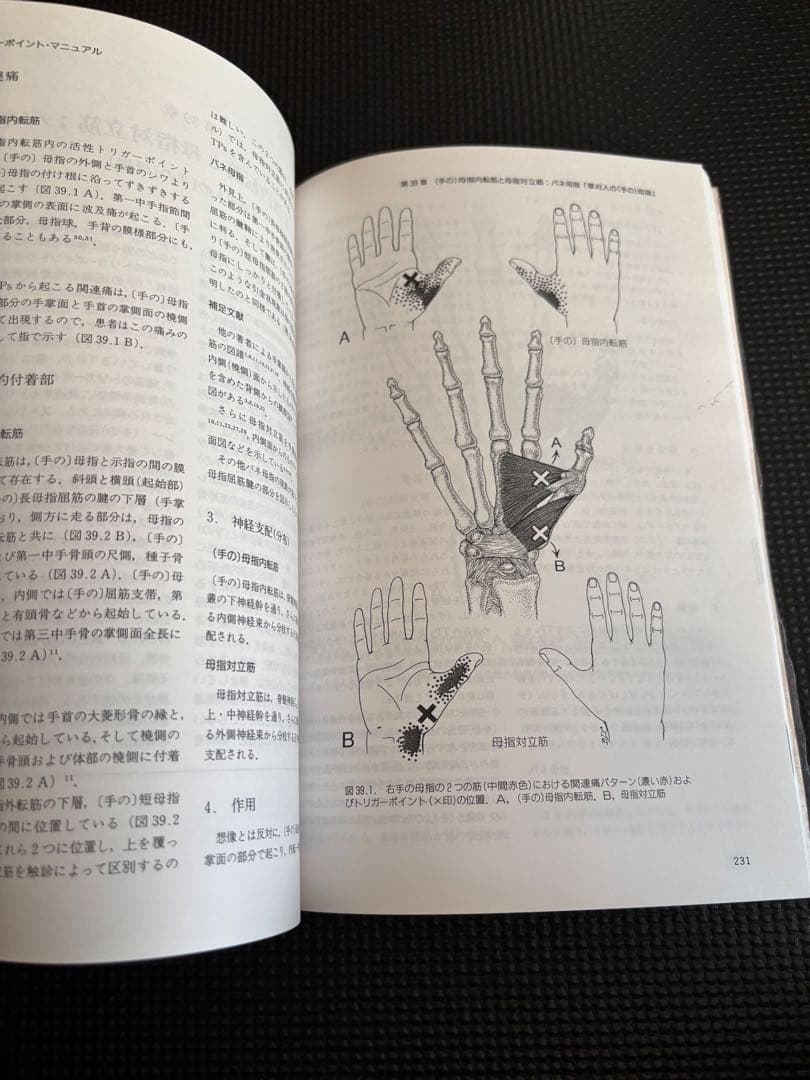 トリガーポイント・マニュアル 第Ⅱ巻　美品